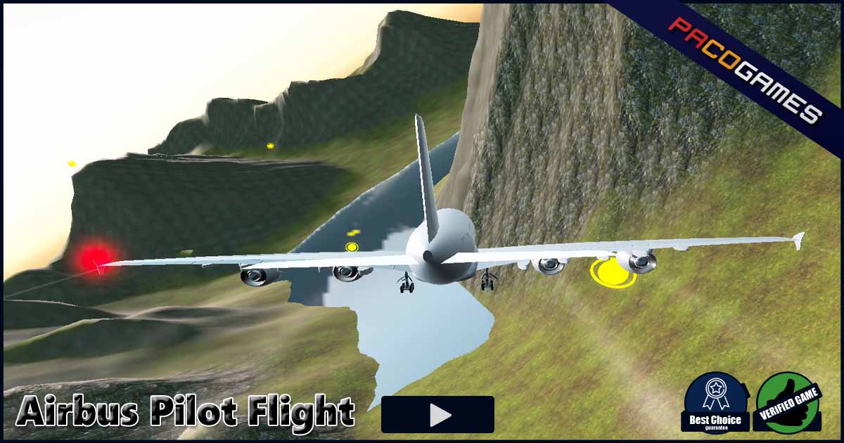 Airbus Pilot Flight