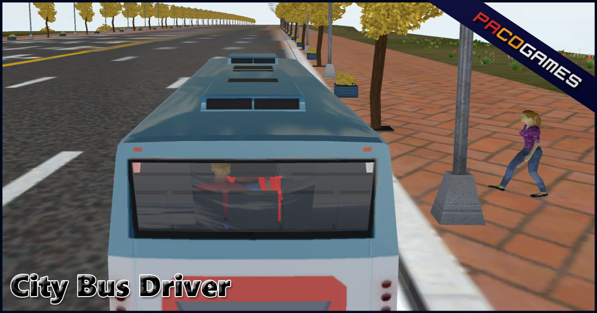 City Bus Driver